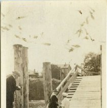 Photograph, Black-and-White